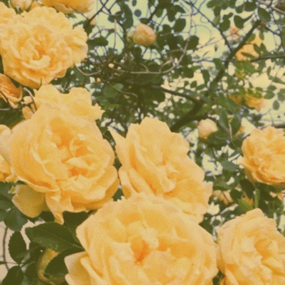 Ready For Spring? Comment Below - image 4